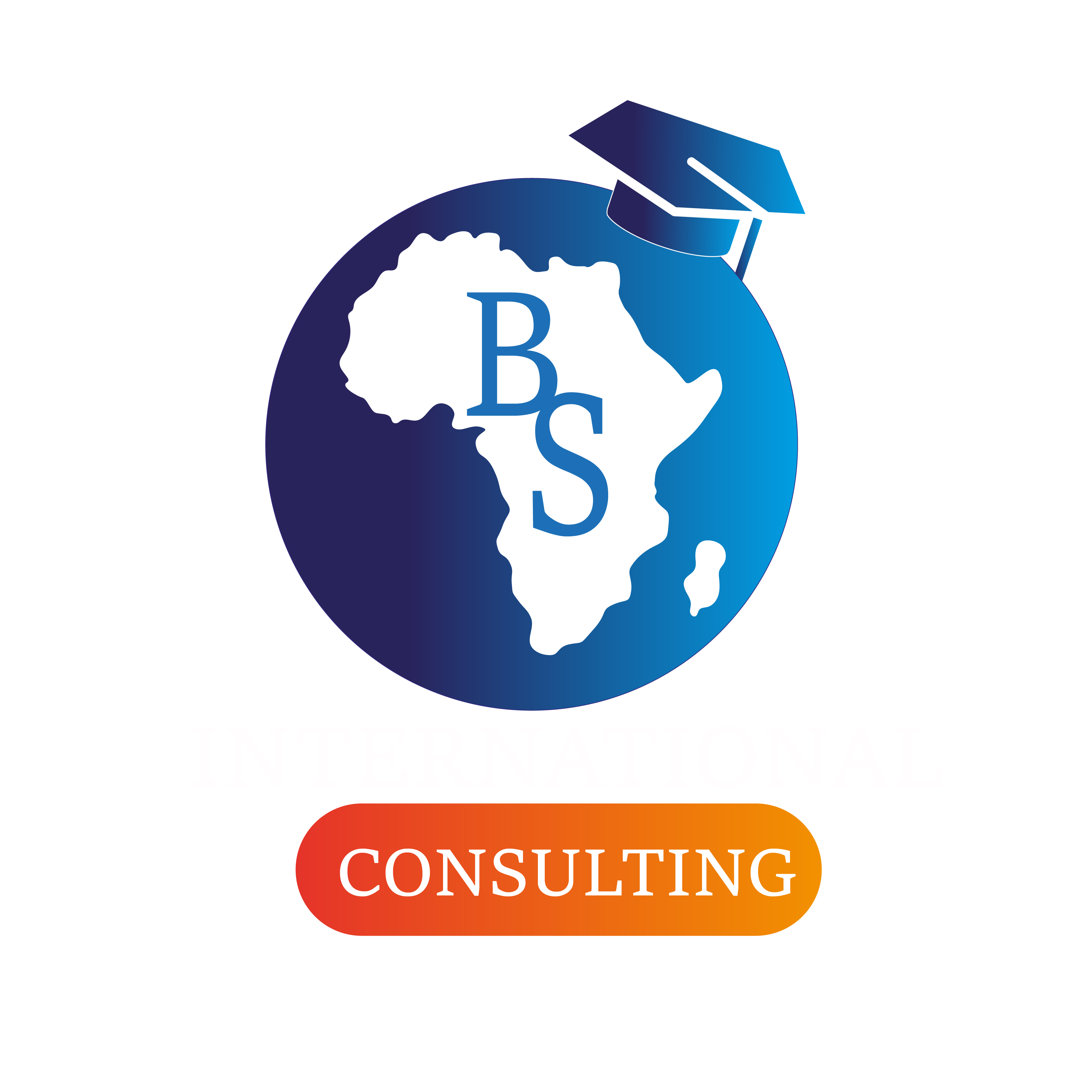 BS INTERNATIONAL BUSINESS Logo